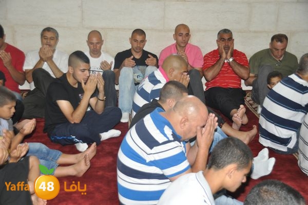 bazsalah lud 712 (29).JPG